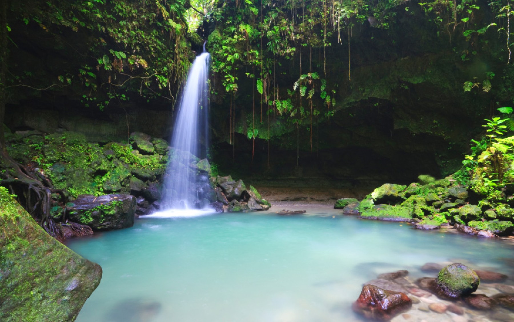 Jungle Bay Dominica